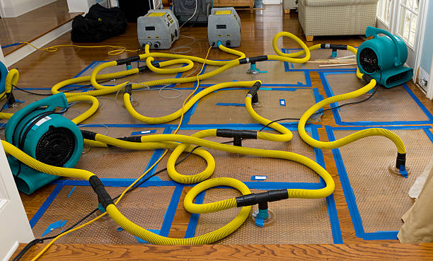 Professional Water Damage Repair technician working in Blaine, WA